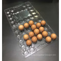 Clamshells PET Disposable plastic blister egg tray chicken egg cartons 28  eggs packers with handle